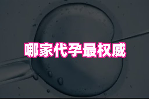 香港助孕网 2