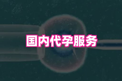香港助孕网 3
